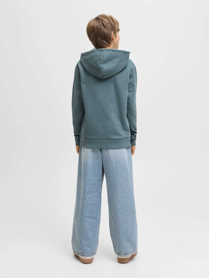 Jack&Jones - JJECALEB... 2