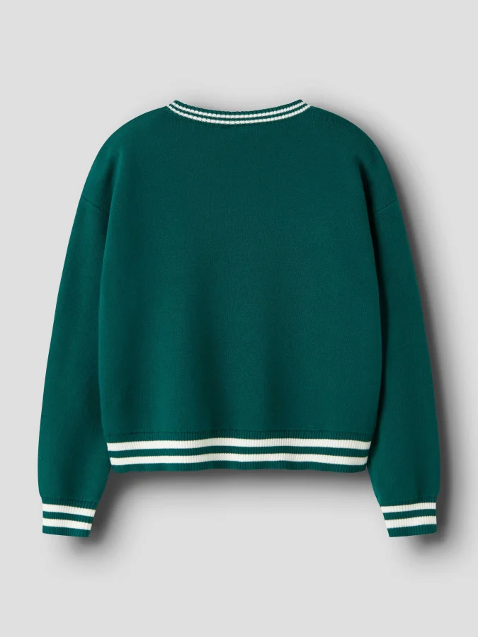 NAME IT - NKFNEPPA LS KNIT 2