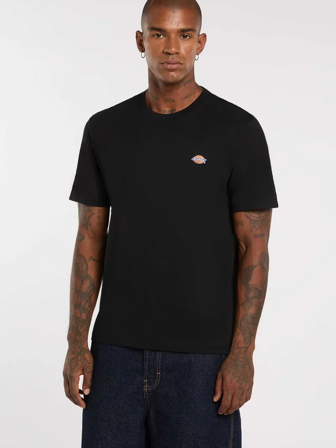 Dickies - MAPLETON SS TEE...