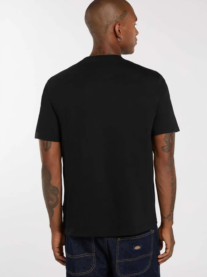 Dickies - MAPLETON SS TEE... 2