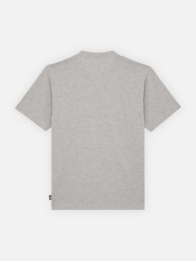 Dickies - MAPLETON SS TEE... 2
