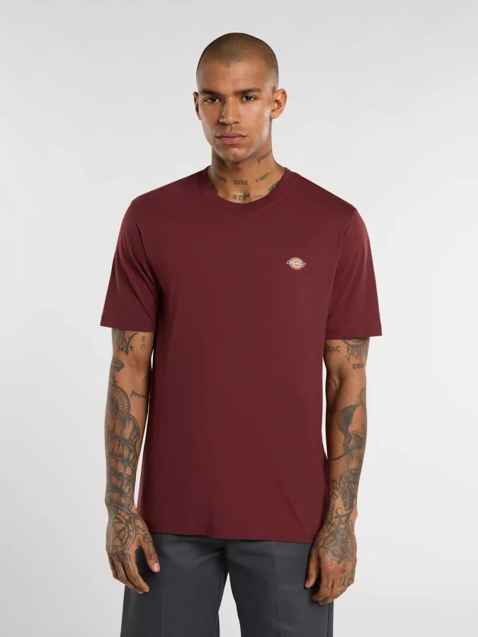 Dickies - MAPLETON SS TEE...