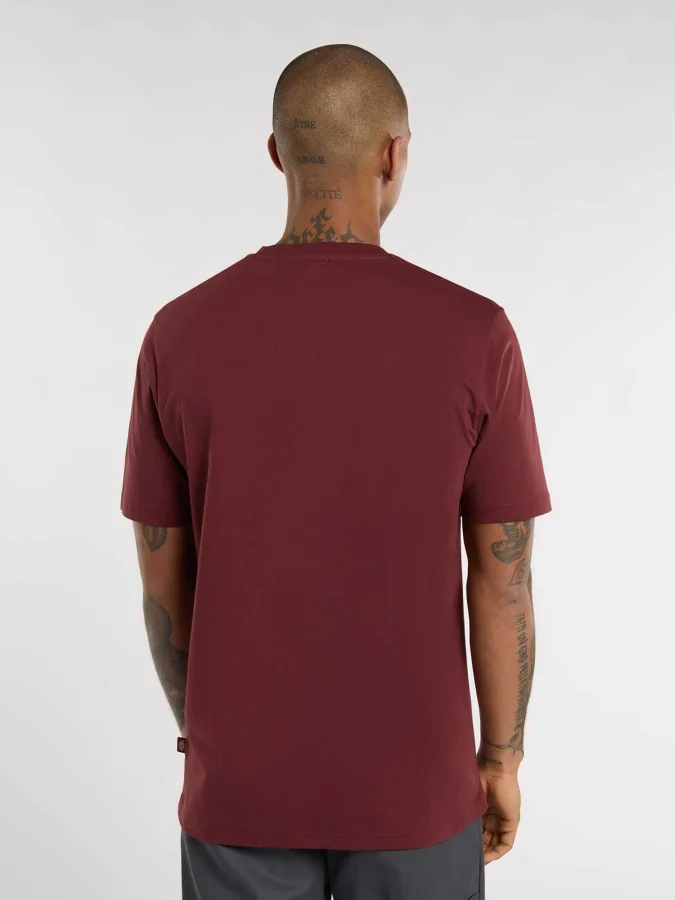 Dickies - MAPLETON SS TEE... 2