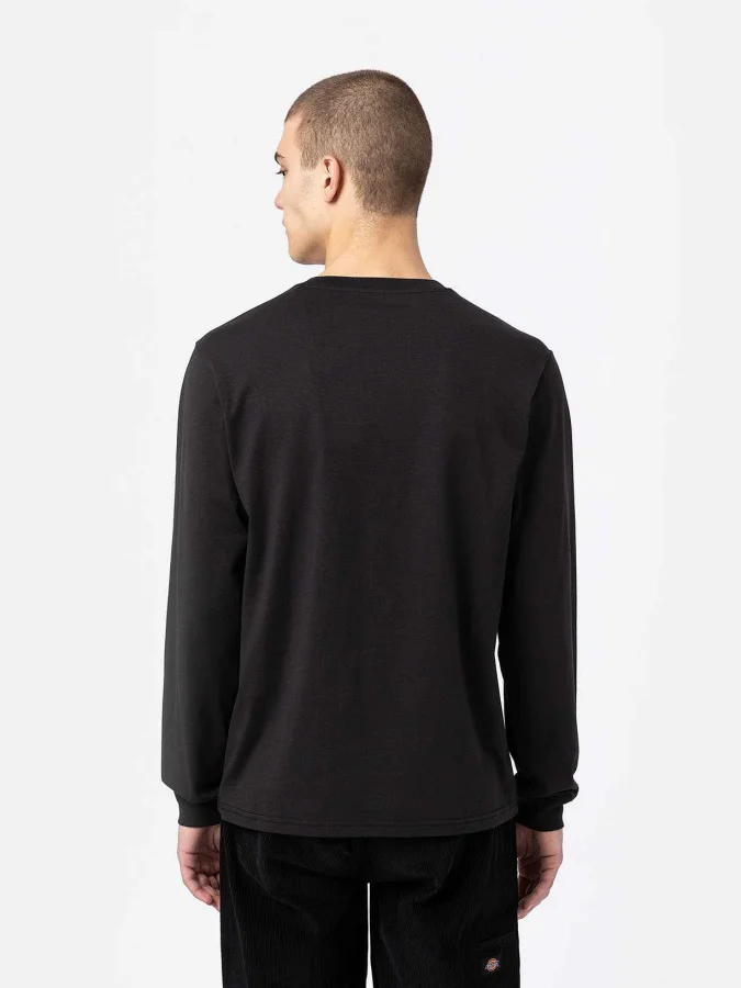 Dickies - MAPLETON LS TEE... 2
