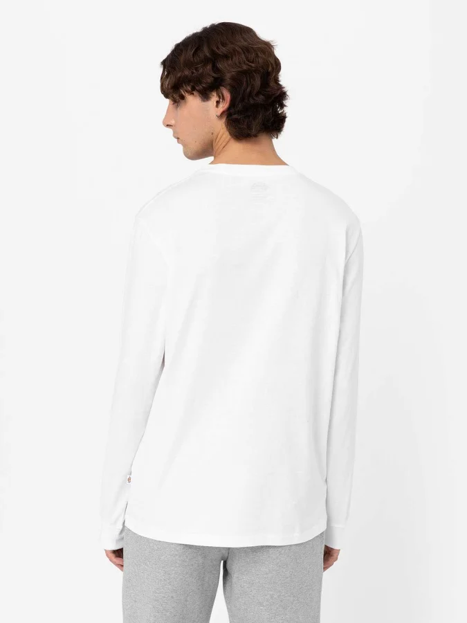 Dickies - MAPLETON LS TEE... 2