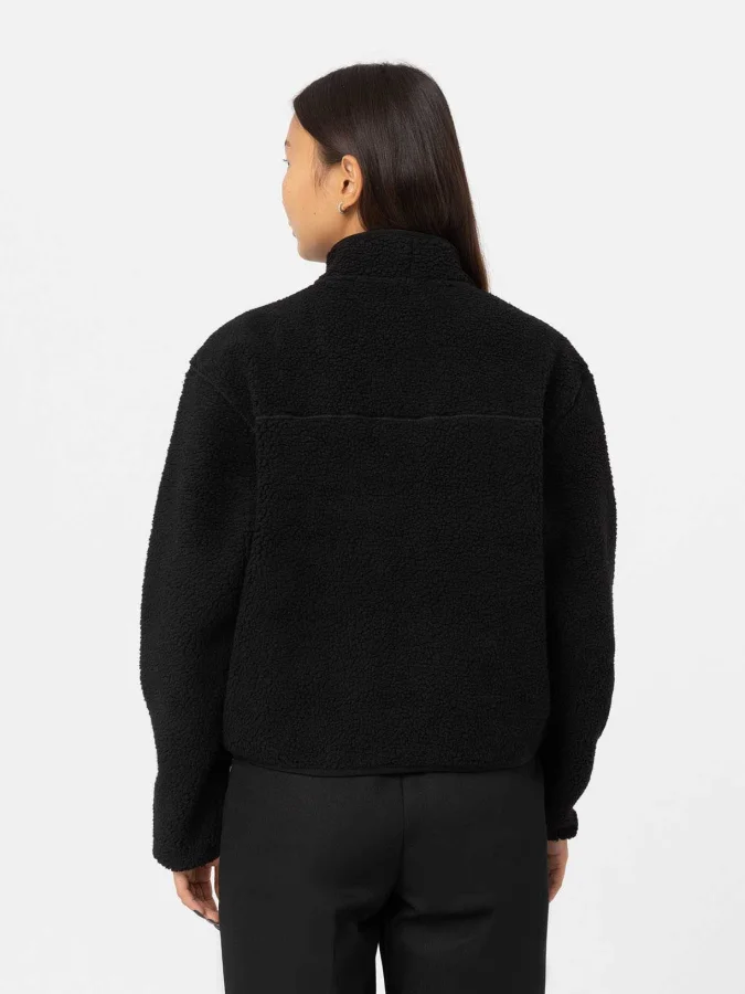 Dickies - MOUNT HOPE FLEECE... 2