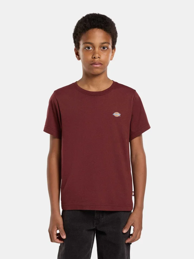 Dickies - YOUTH MAPLETON...