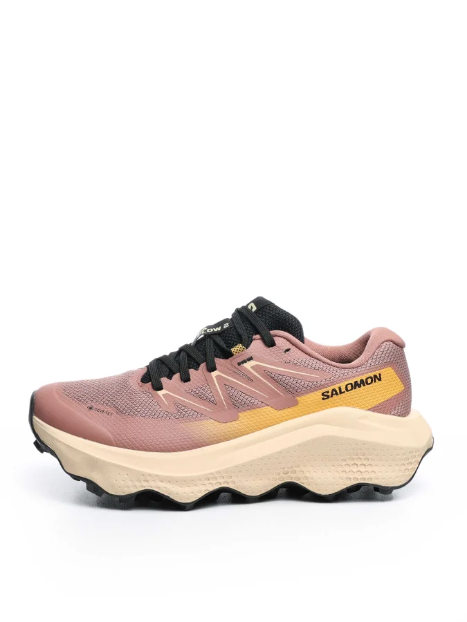 Salomon - ULTRA FLOW 2 GTX 2