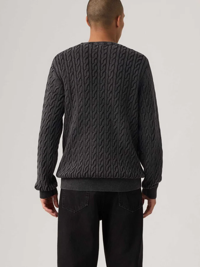 Levis® - Presidio Crew 2