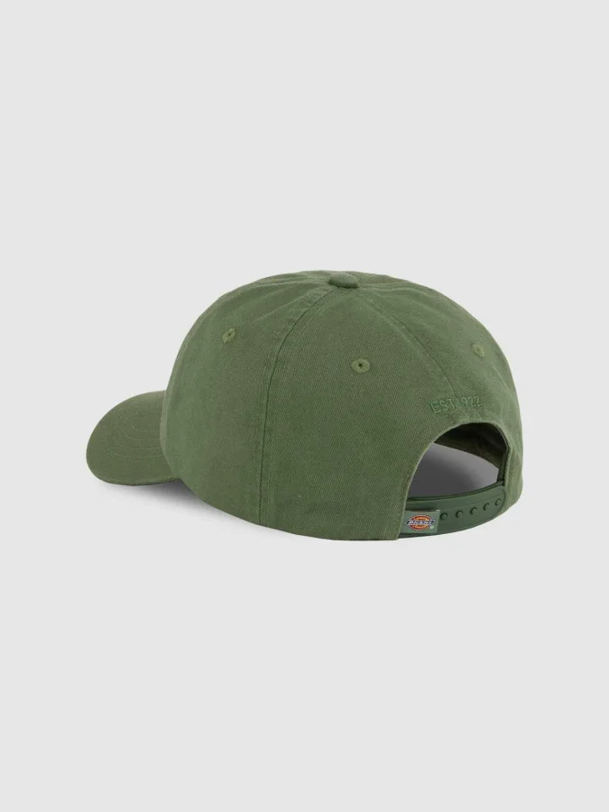 Dickies - HARDWICK SEA SPRAY 2