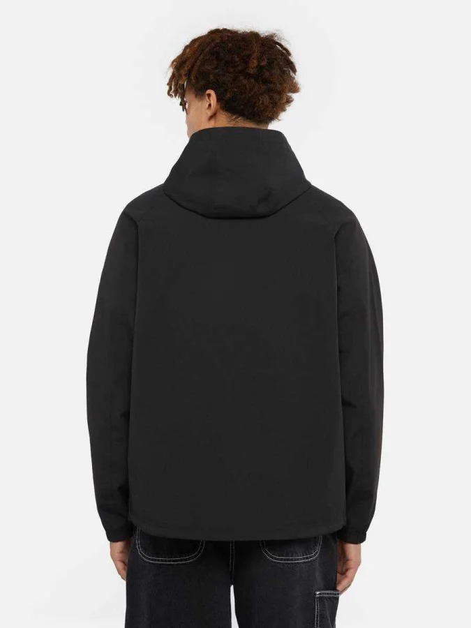 Dickies - RONAN SHELL... 2