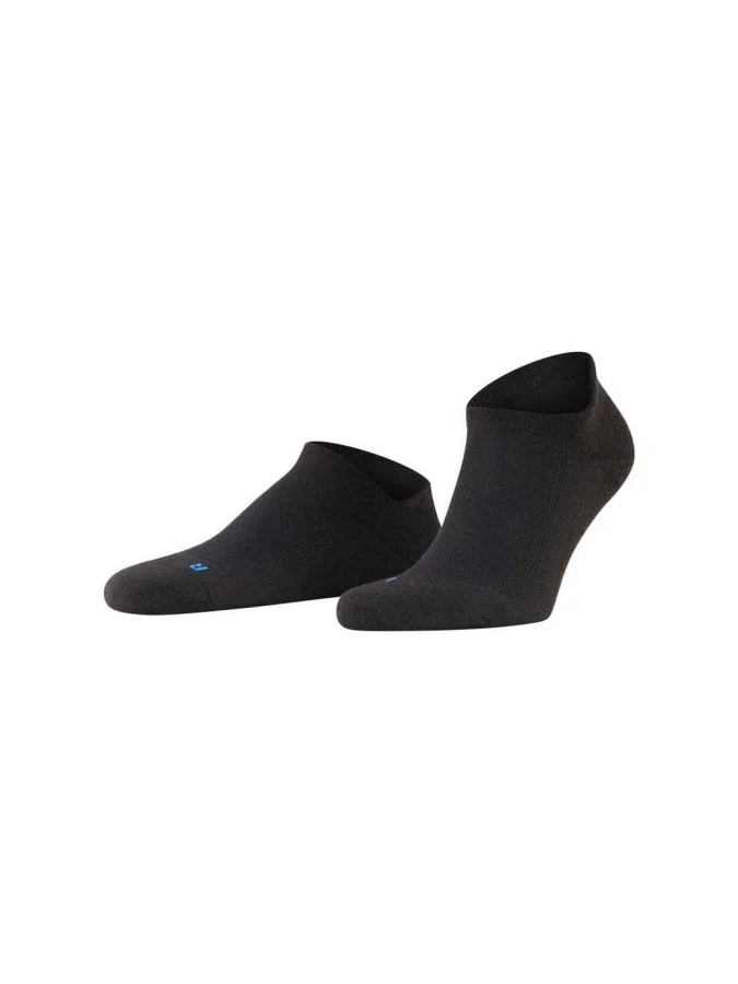 FALKE 2