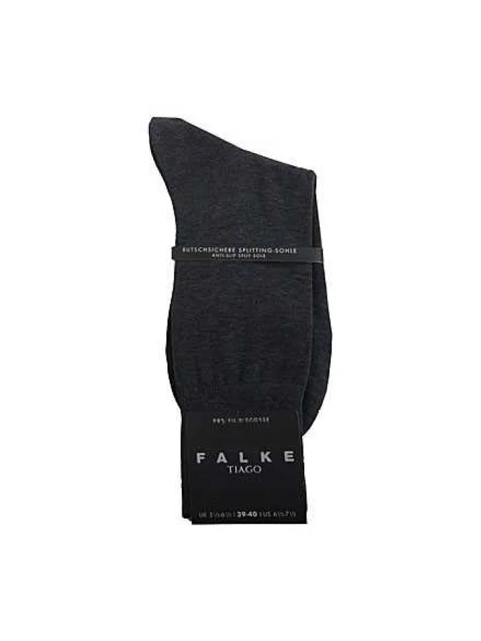 FALKE 2