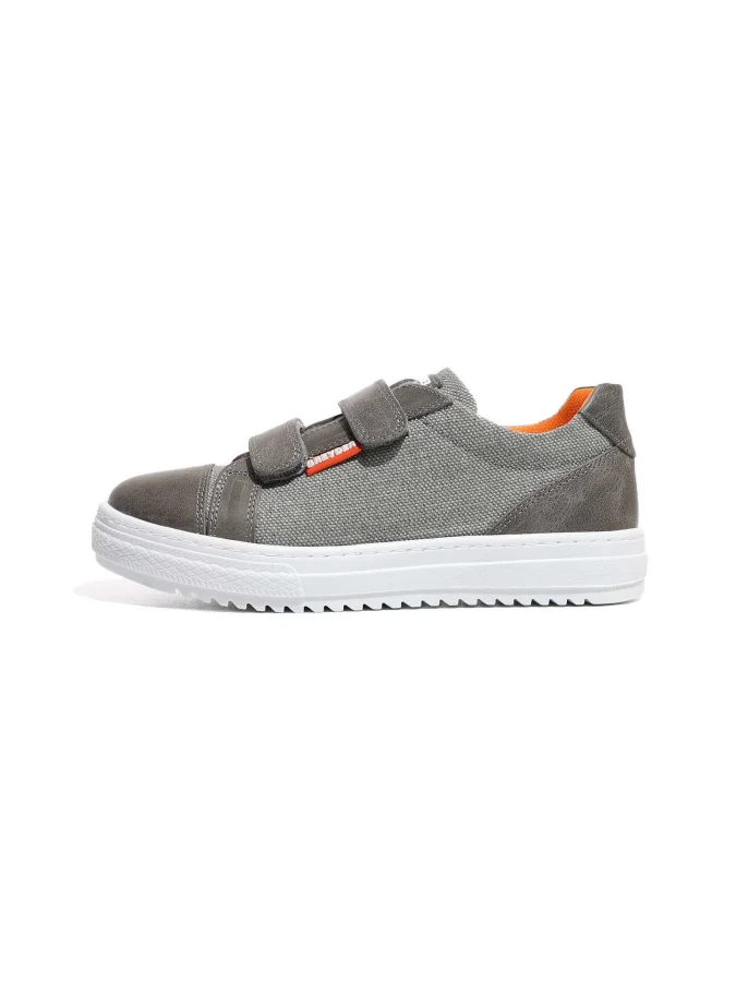 GREYDER 2