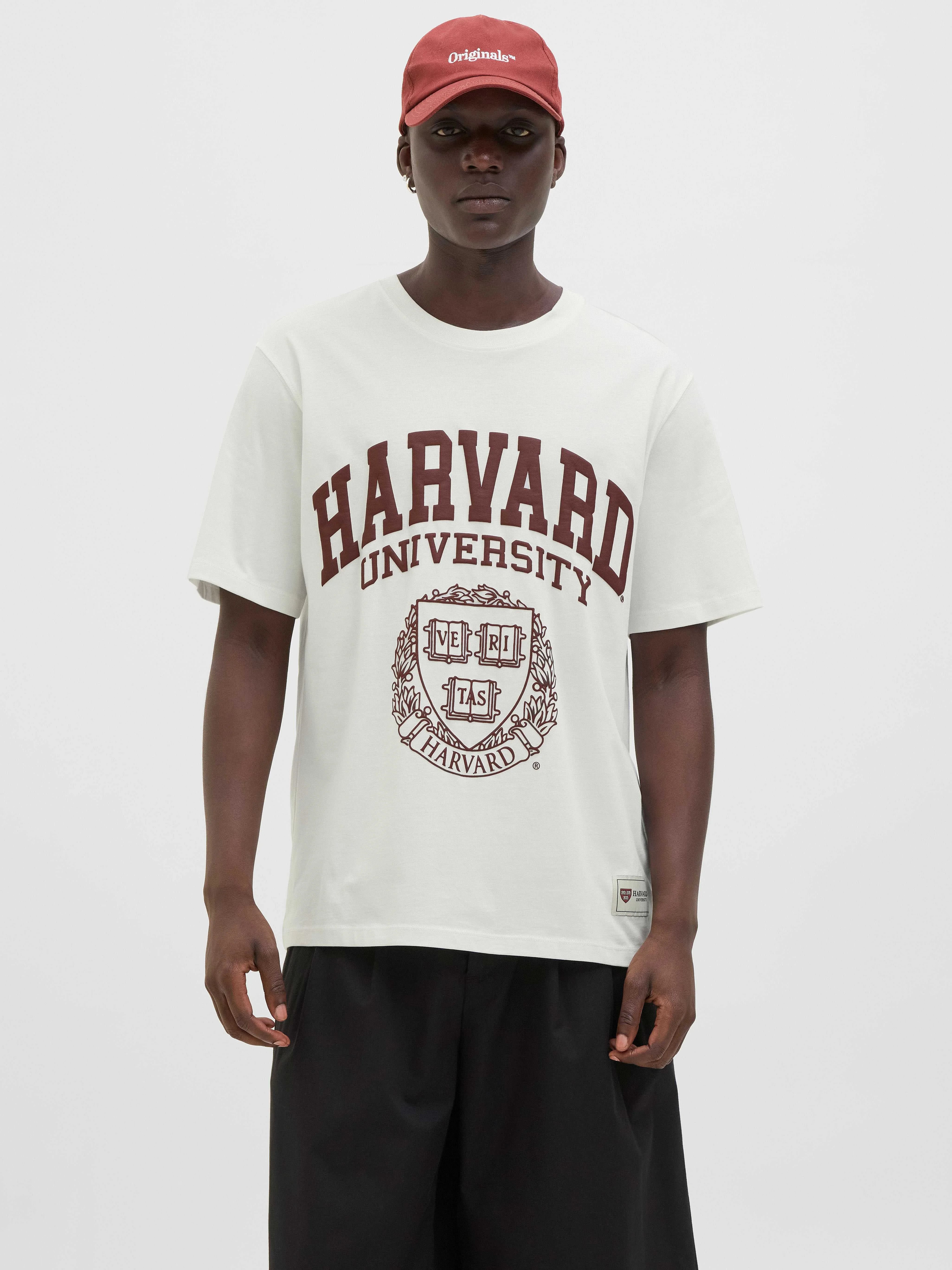 Jack&Jones - JORHARVARD TEE SS C.N... Jack&Jones - JORHARVARD TEE SS C.N...
