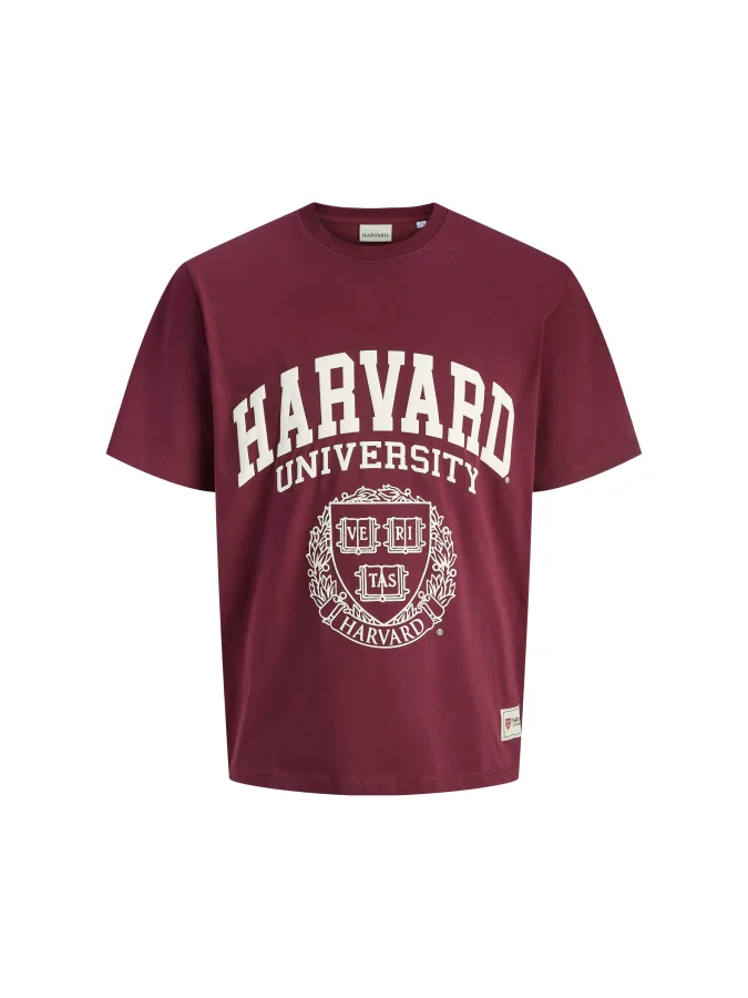 Jack&Jones - JORHARVARD TEE...