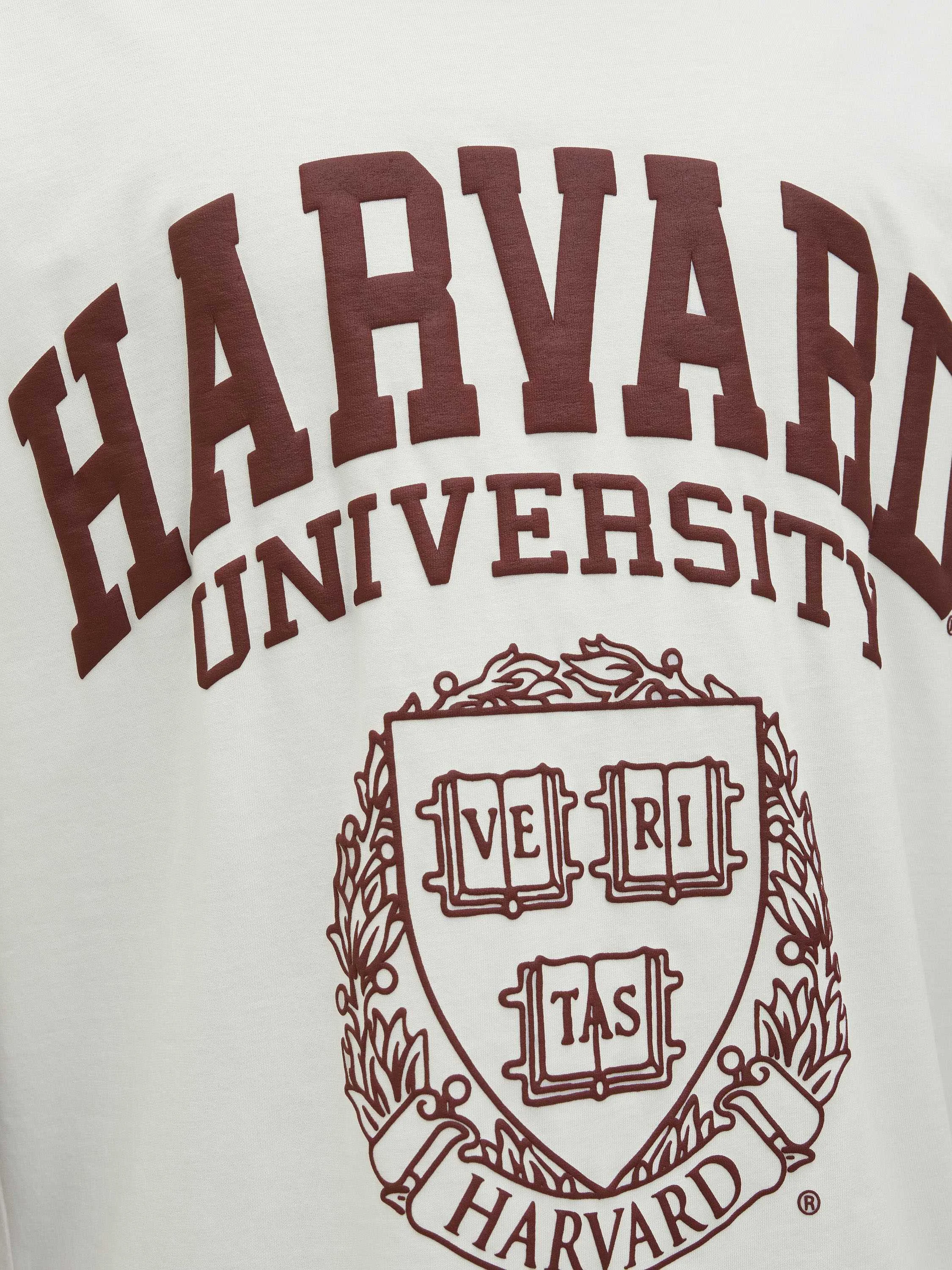 Jack&Jones - JORHARVARD TEE SS C.N... Jack&Jones - JORHARVARD TEE SS C.N...