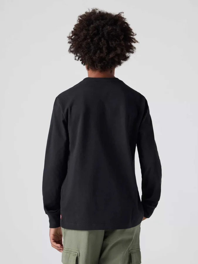 Levis - LVB LEGENDARY LS TEE 2