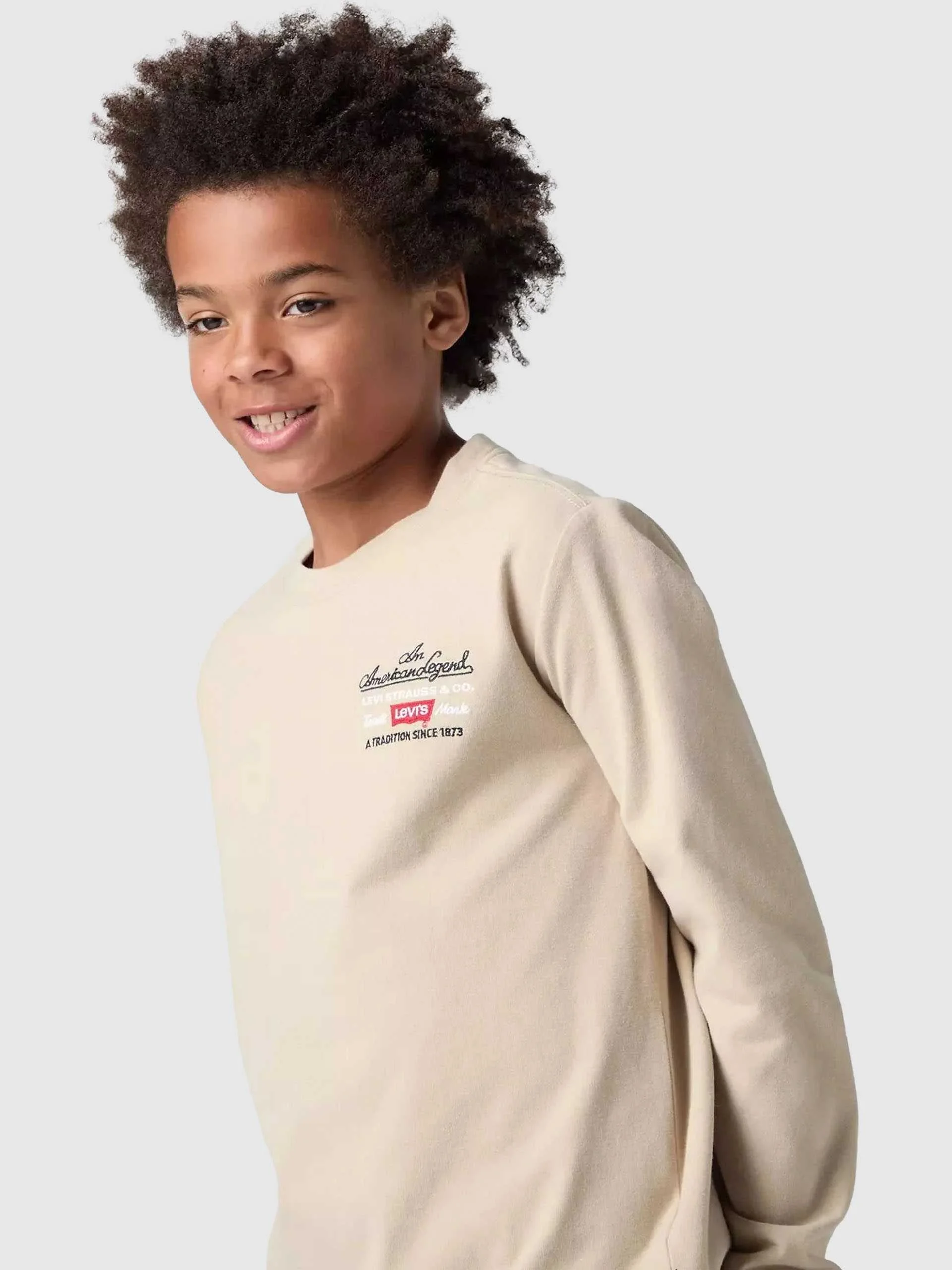 Levis - LVB LEGENDARY LS TEE Levis - LVB LEGENDARY LS TEE