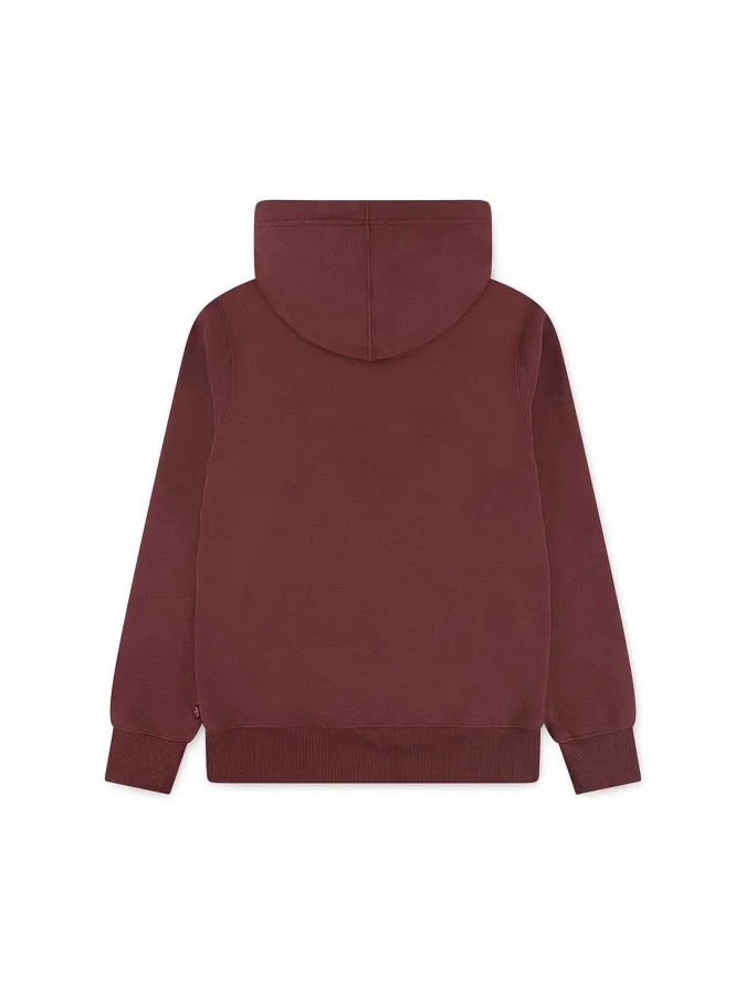 Levis - LVB SADDLE MAN HOODIE 2