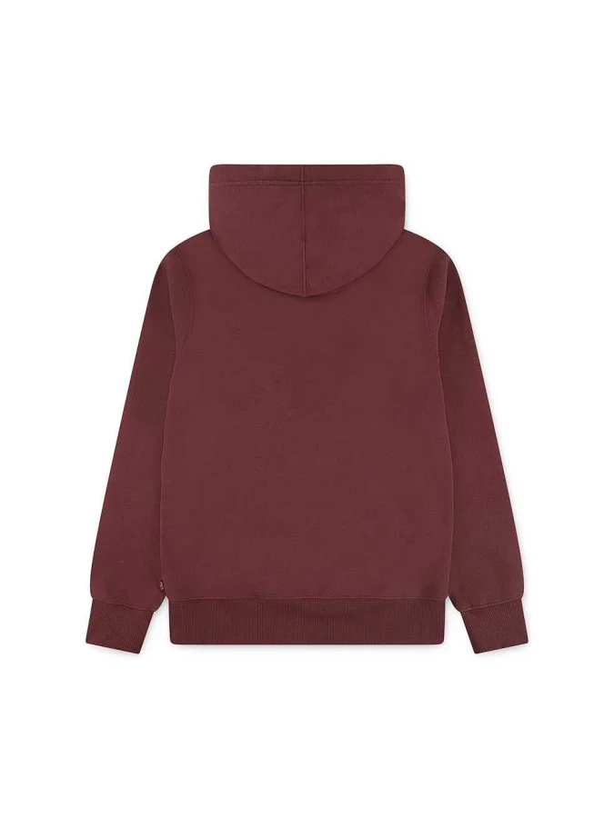 Levis - LVB SADDLE MAN HOODIE 2