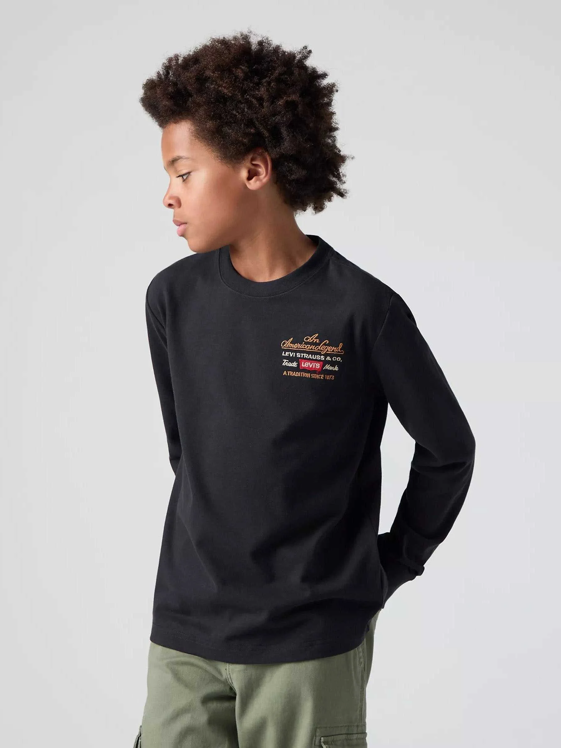 Levis - LVB LEGENDARY LS TEE Levis - LVB LEGENDARY LS TEE