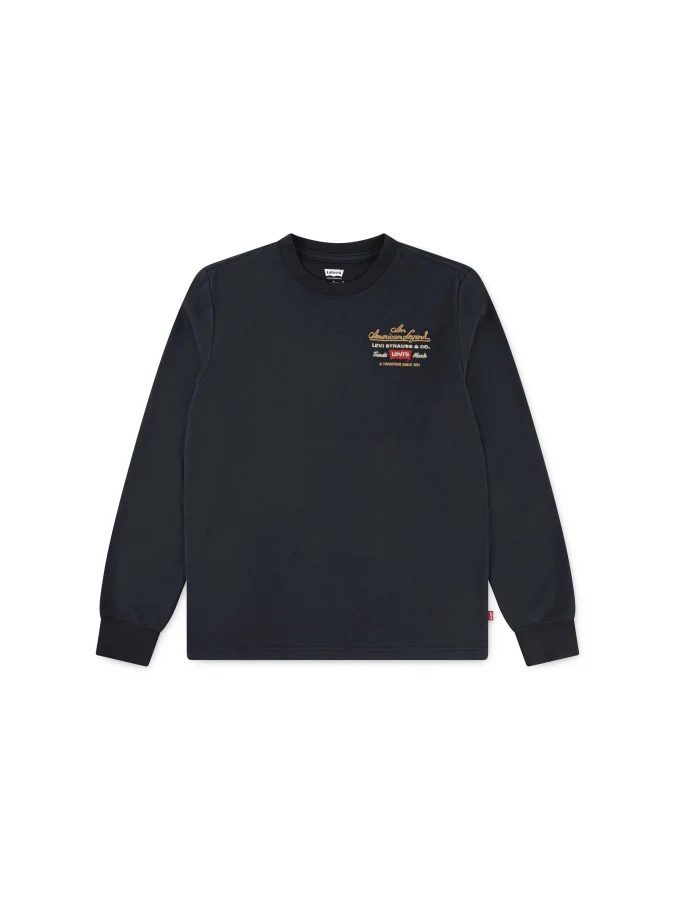 Levis - LVB LEGENDARY LS TEE 2