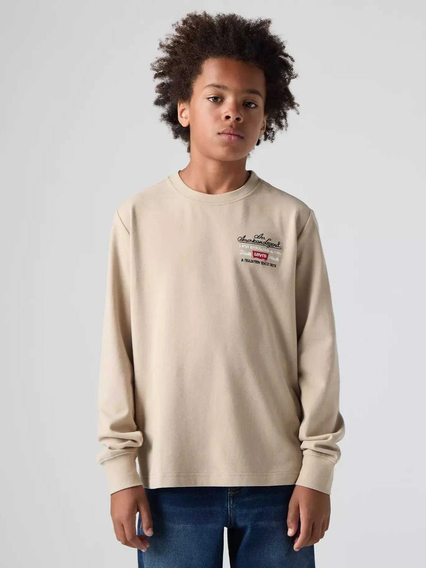 Levis - LVB LEGENDARY LS TEE Levis - LVB LEGENDARY LS TEE