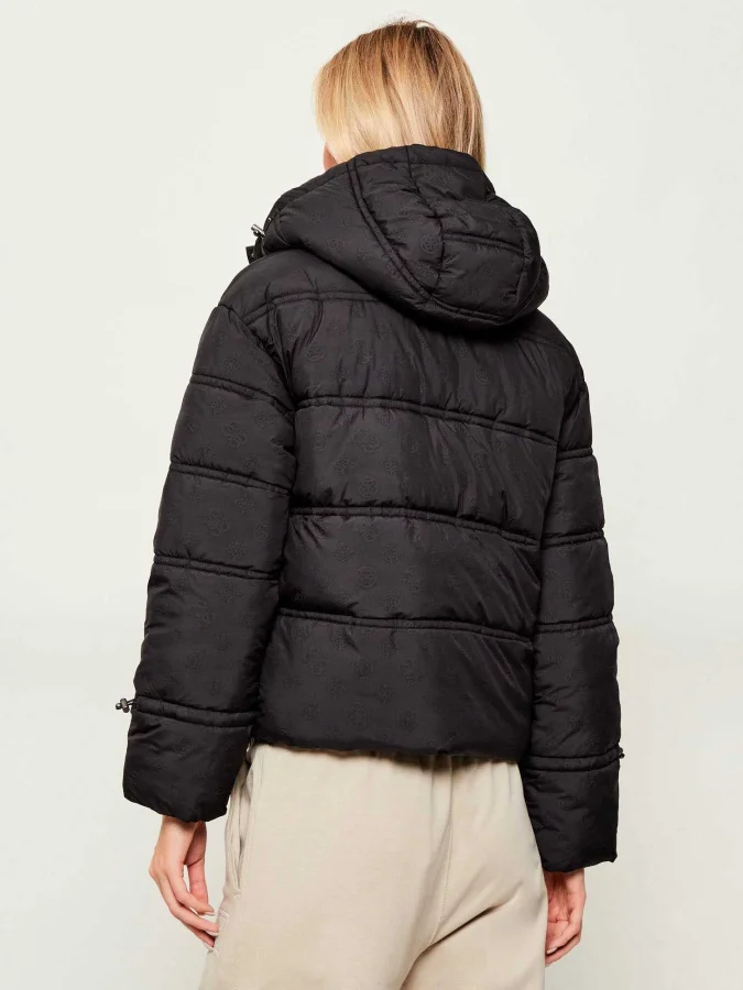 GUESS - NEW DAISY CROP LOGO... 2