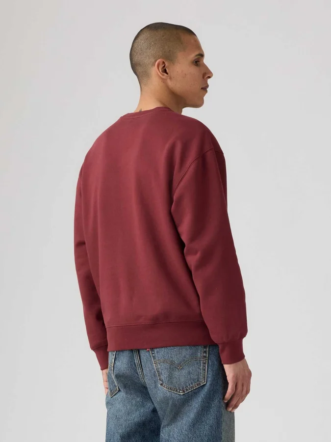 Levis - Relaxd Graphic Crew 2