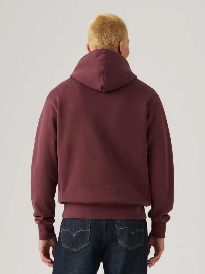 Levis - The Authentic Hoodie 2