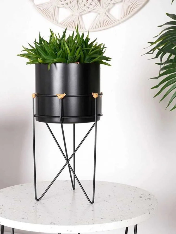 Koopman - შავი ქოთანი,...