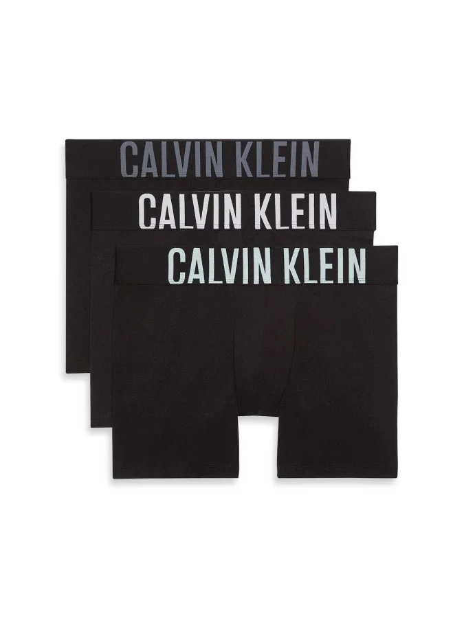 CALVIN KLEIN UNDERWEAR -...