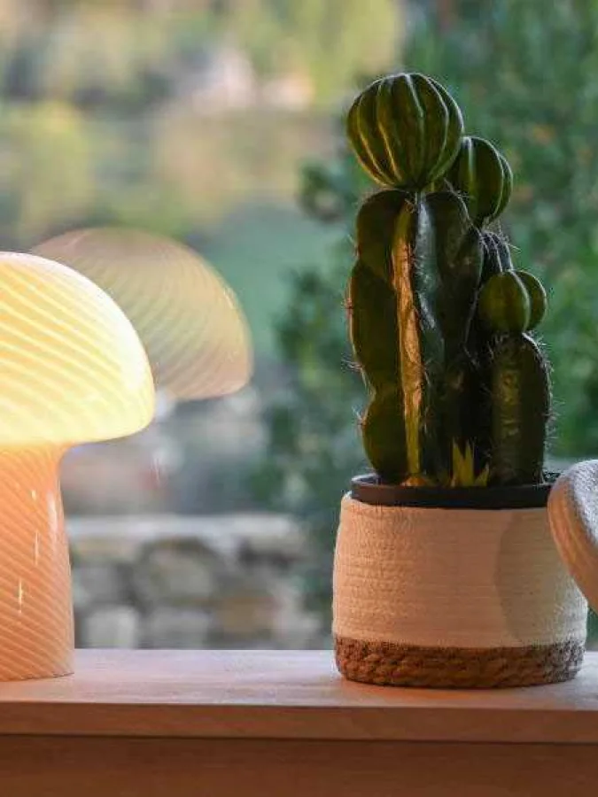 Item International - ბეჟი...