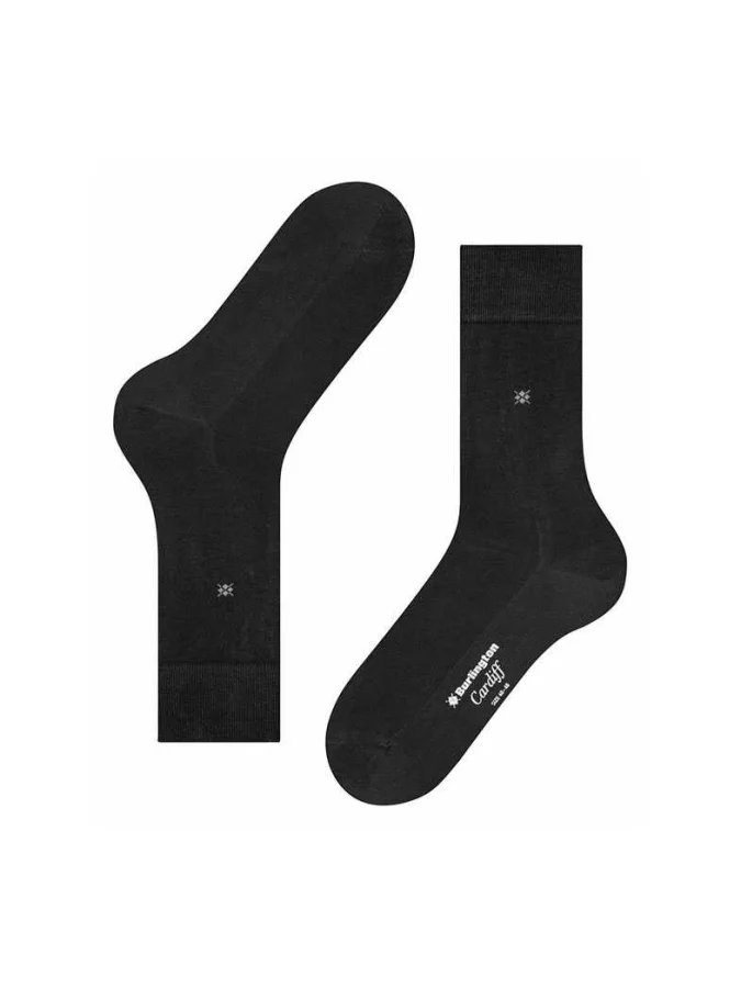 BURLINGTON - Dublin SO 2