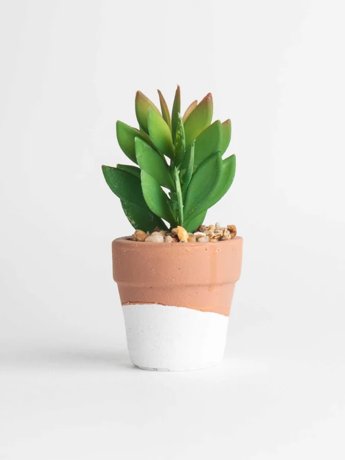 Item International -...