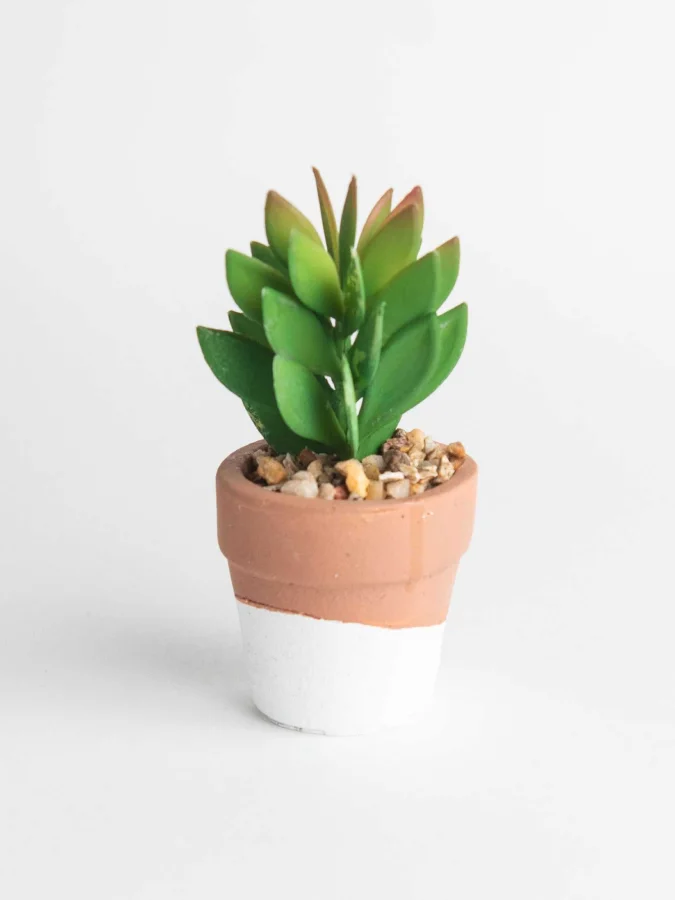 Item International -... 2