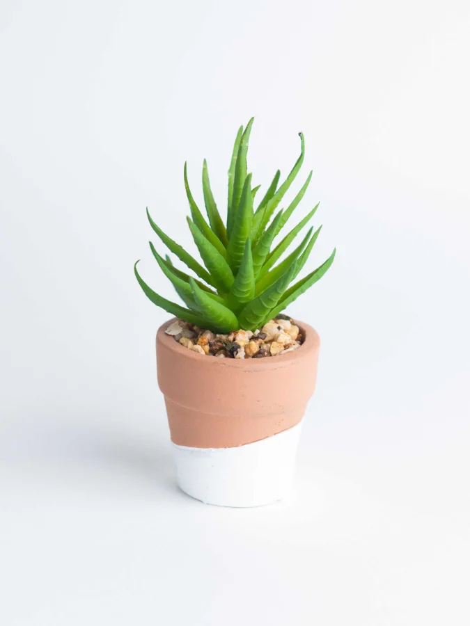 Item International -... 2