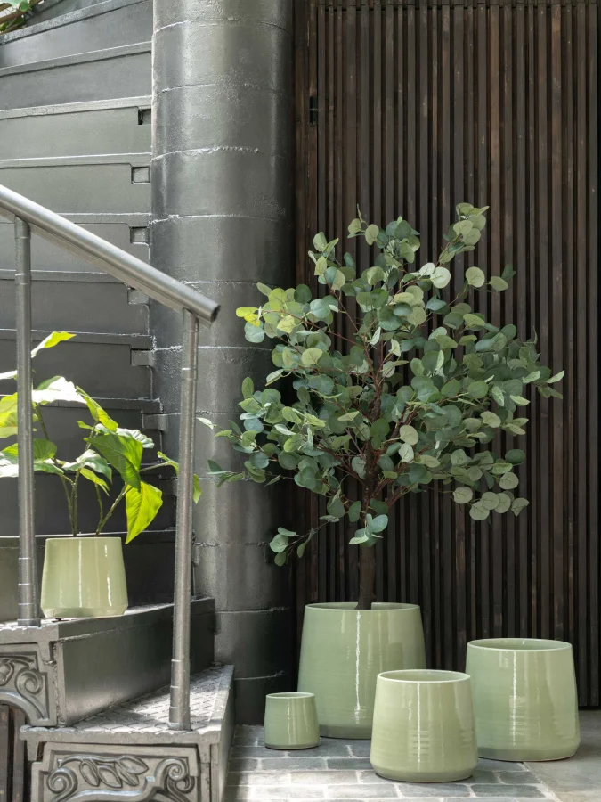 J-Line - მწვანე ქოთანი, 23... 2