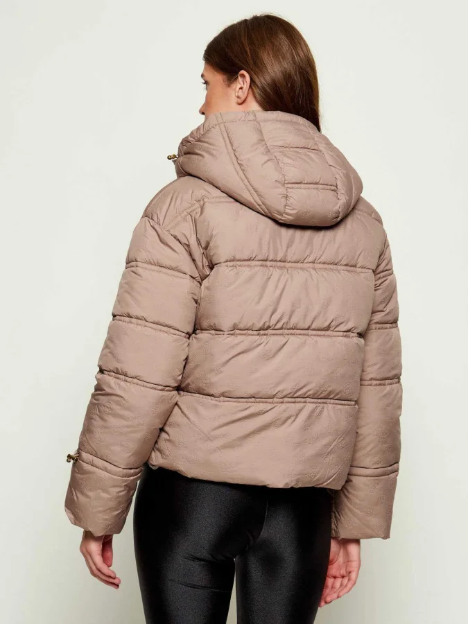 GUESS - NEW DAISY CROP LOGO... 2