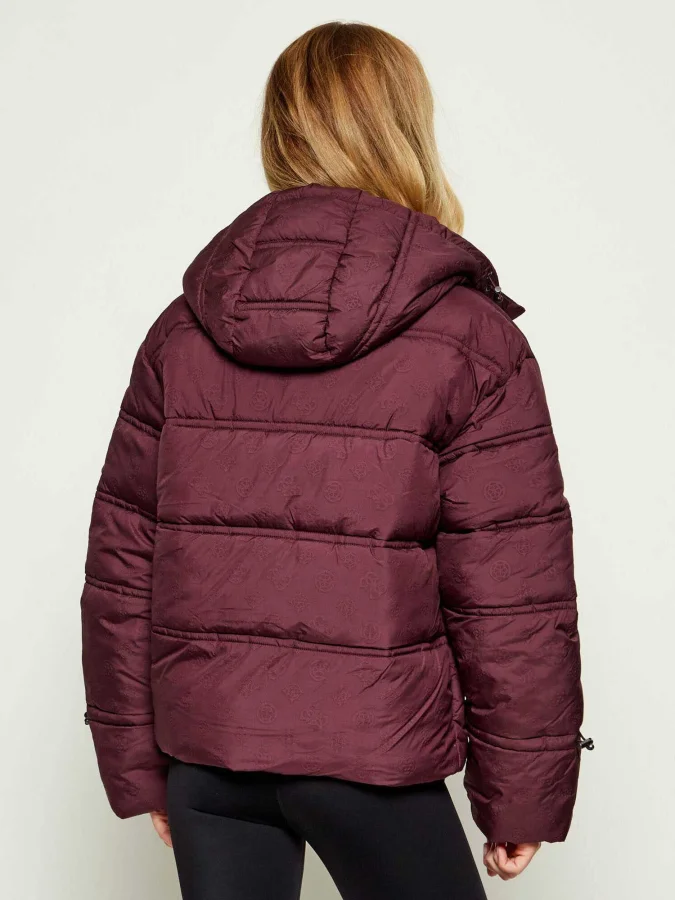 GUESS - NEW DAISY CROP LOGO... 2