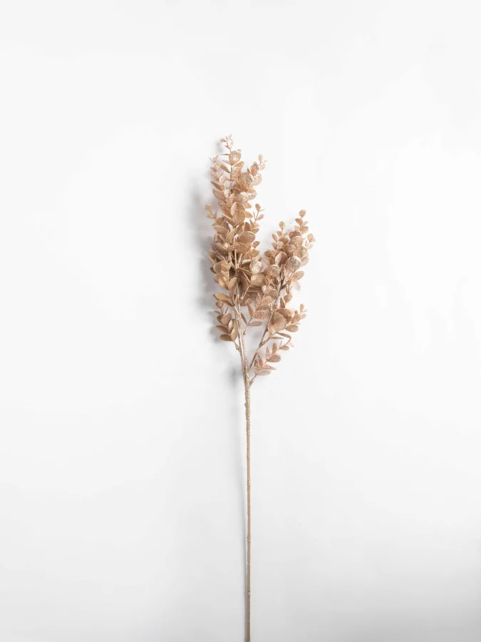 Koopman - საახალწლო...