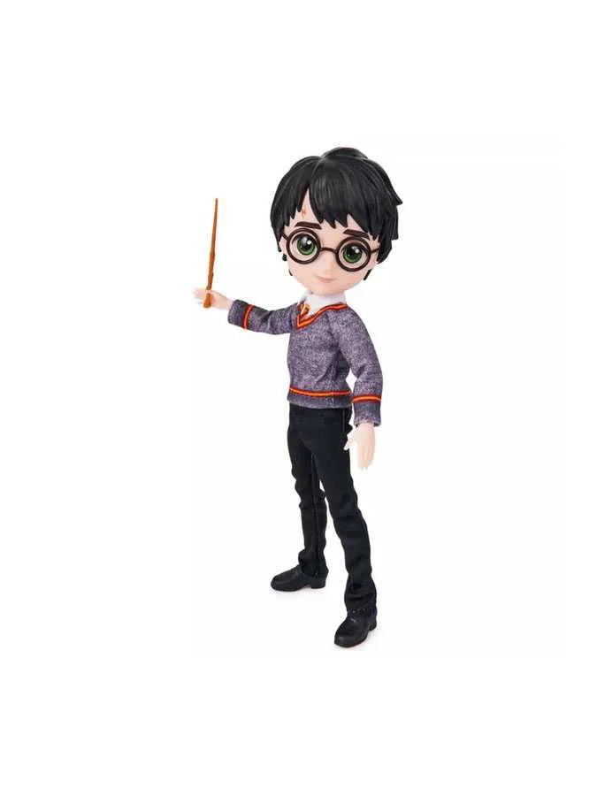 Wizarding World, Harry...