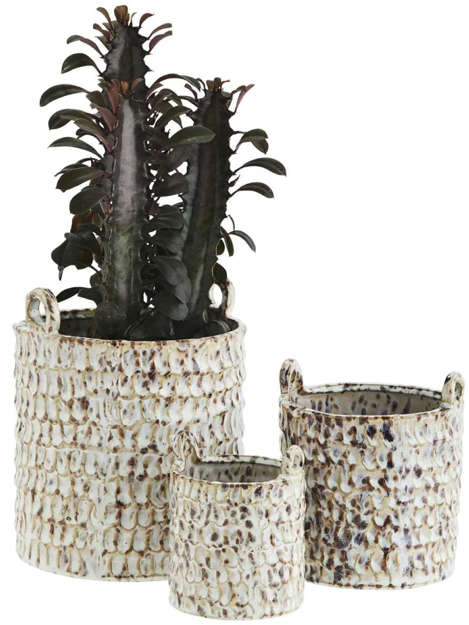 Madam Stolz - Beige Flower... 2