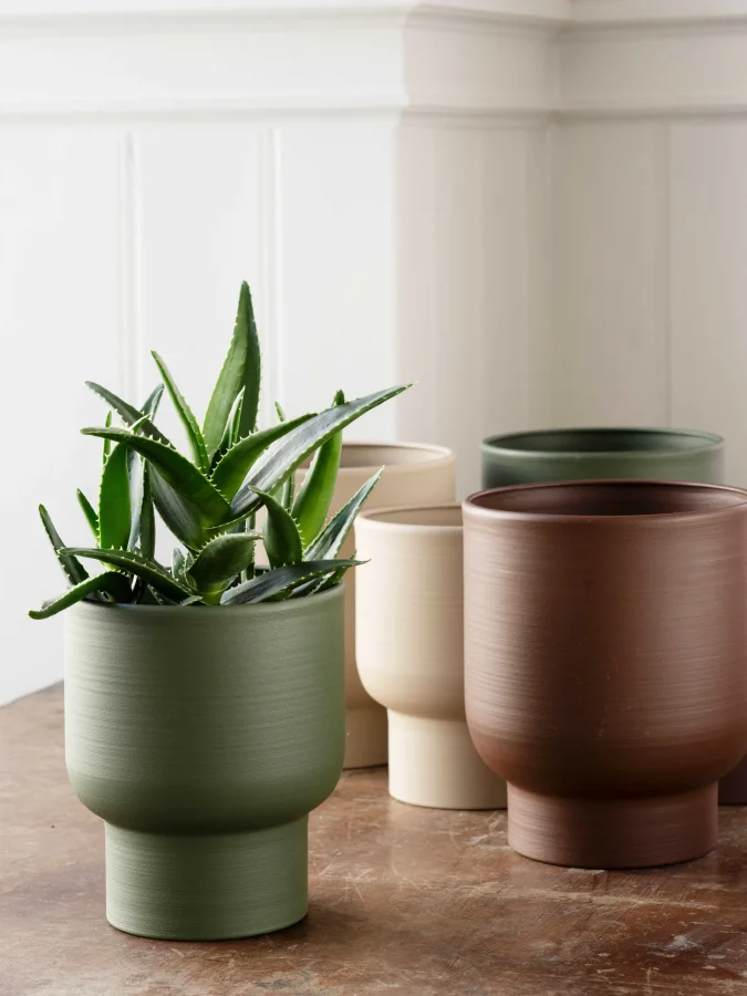 Madam Stolz - Green Flower... 2