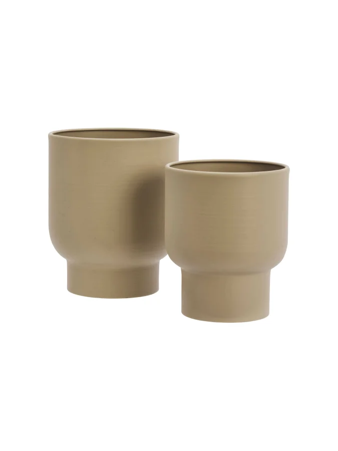 Madam Stolz - Beige Flower...