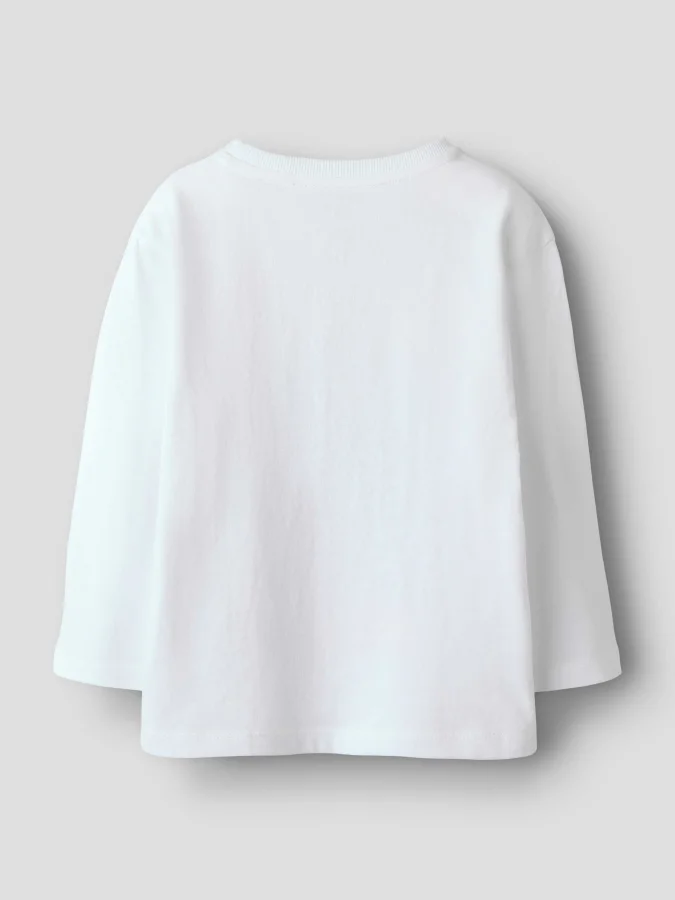 NAME IT - NMMTINUS LS NREG... 2