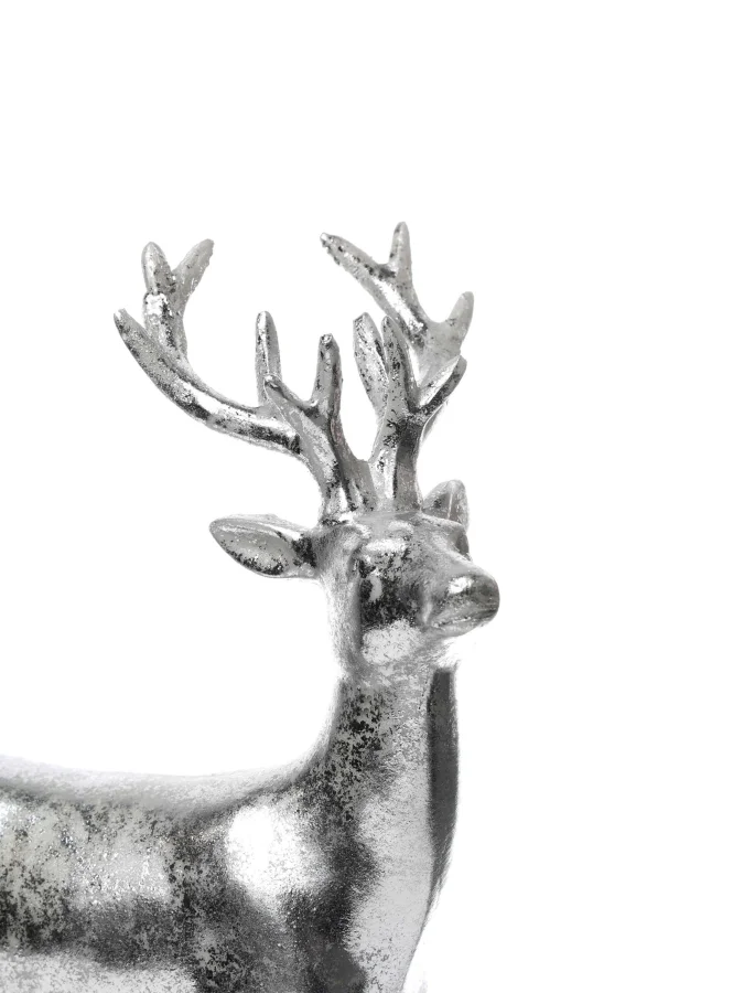 Boltze - დეკორატიული... 2