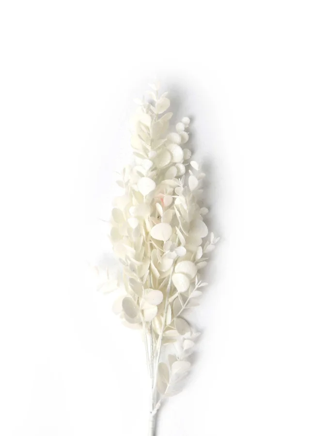 Koopman - საახალწლო... 2