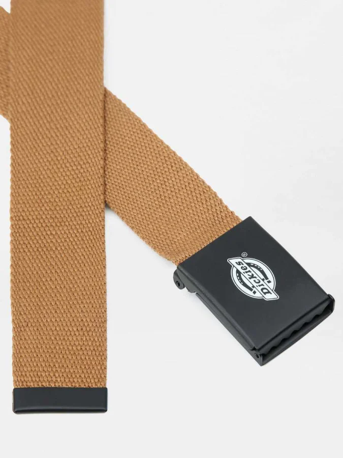 Dickies - ORCUTT BROWN DUCK 2